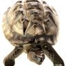 Скульптура Черепаха светлый панцирь Императорский фарфоровый завод